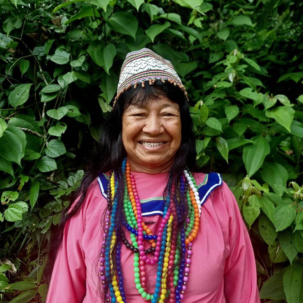 Inca Shipiba Ayahuasca