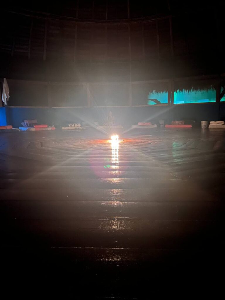 Inca Shipiba Ayahuasca 5