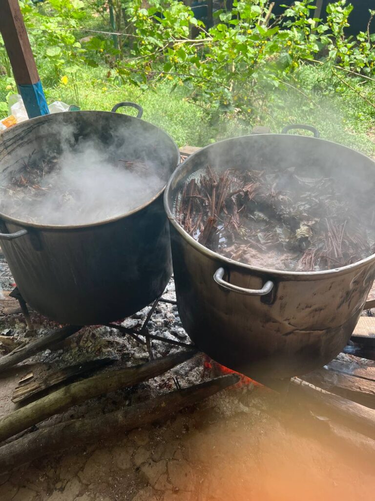 Inca Shipiba Ayahuasca 6
